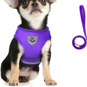 Dog vest harness and leash si